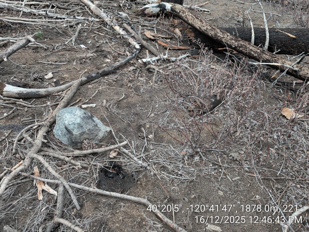 Illegal 70 + Acre Herbicide Application Photos and Evidence for the Lahontan Water Board 94 IMG 20251216 124643