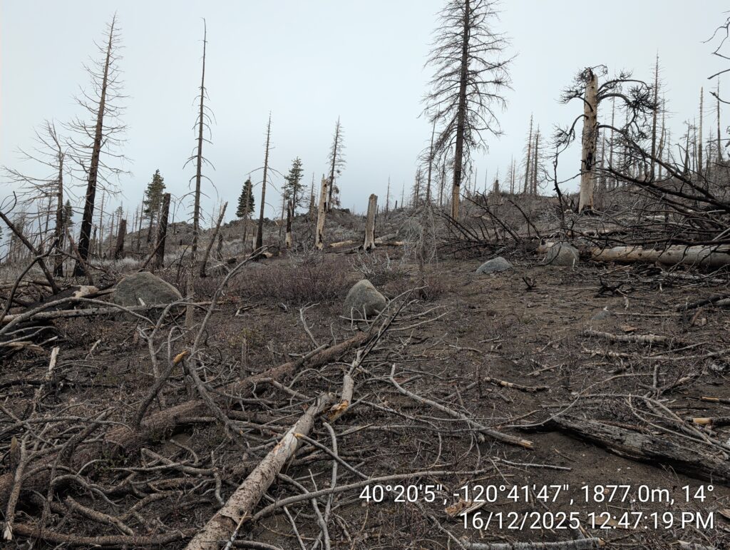 Illegal 70 + Acre Herbicide Application Photos and Evidence for the Lahontan Water Board 96 IMG 20251216 124719