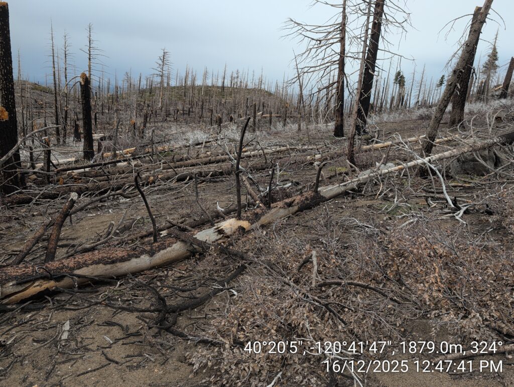 Illegal 70 + Acre Herbicide Application Photos and Evidence for the Lahontan Water Board 97 IMG 20251216 124741