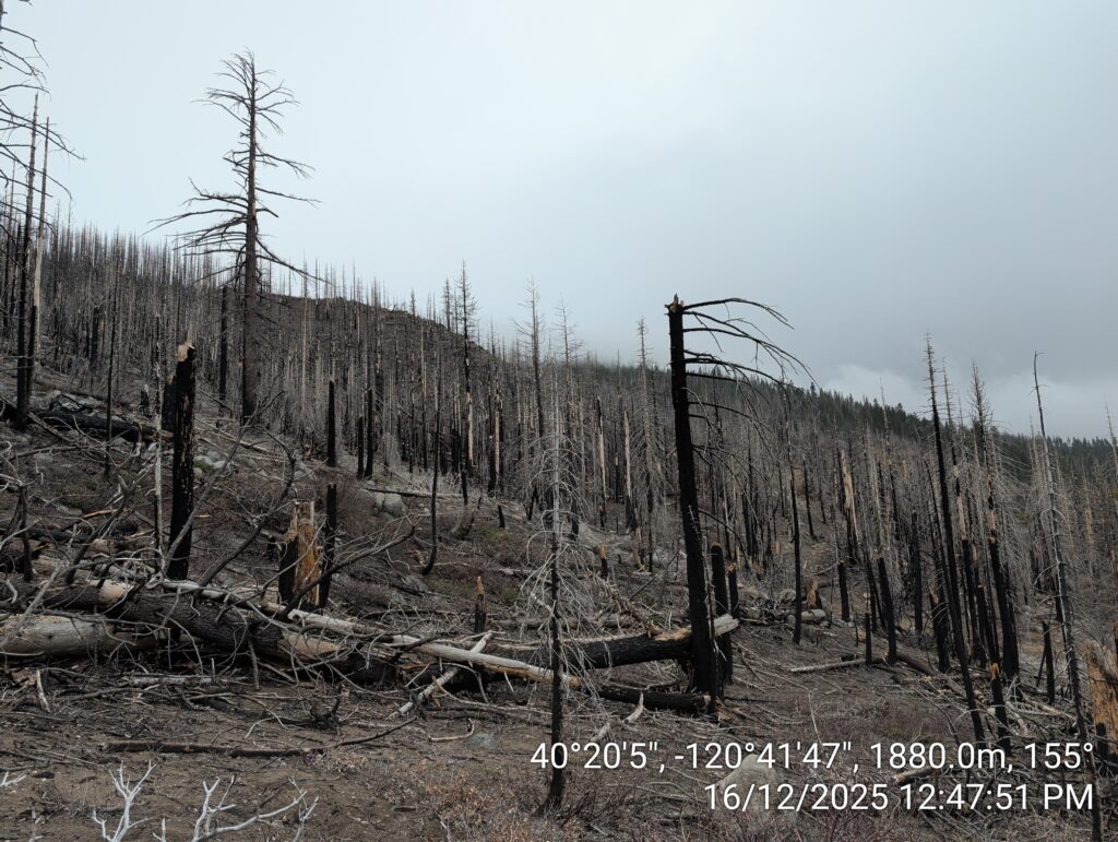 Illegal 70 + Acre Herbicide Application Photos and Evidence for the Lahontan Water Board 100 IMG 20251216 124751