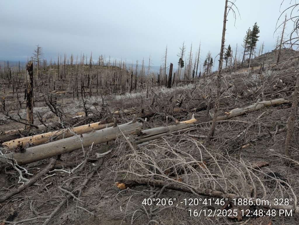 Illegal 70 + Acre Herbicide Application Photos and Evidence for the Lahontan Water Board 101 IMG 20251216 124848