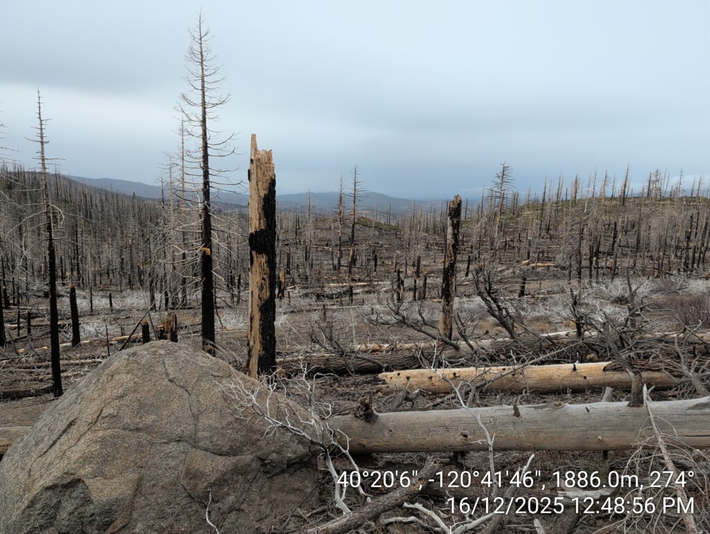 Illegal 70 + Acre Herbicide Application Photos and Evidence for the Lahontan Water Board 102 IMG 20251216 124856