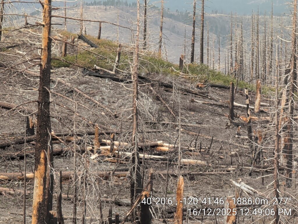 Illegal 70 + Acre Herbicide Application Photos and Evidence for the Lahontan Water Board 104 IMG 20251216 124906