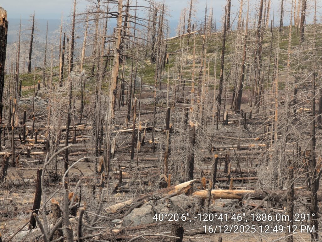 Illegal 70 + Acre Herbicide Application Photos and Evidence for the Lahontan Water Board 105 IMG 20251216 124912