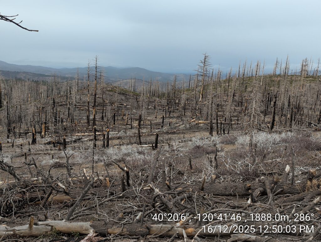 Illegal 70 + Acre Herbicide Application Photos and Evidence for the Lahontan Water Board 107 IMG 20251216 125003