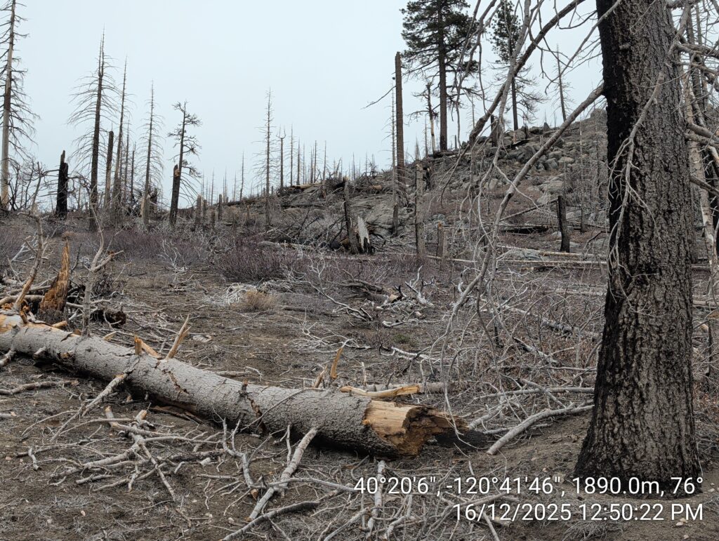 Illegal 70 + Acre Herbicide Application Photos and Evidence for the Lahontan Water Board 108 IMG 20251216 125022