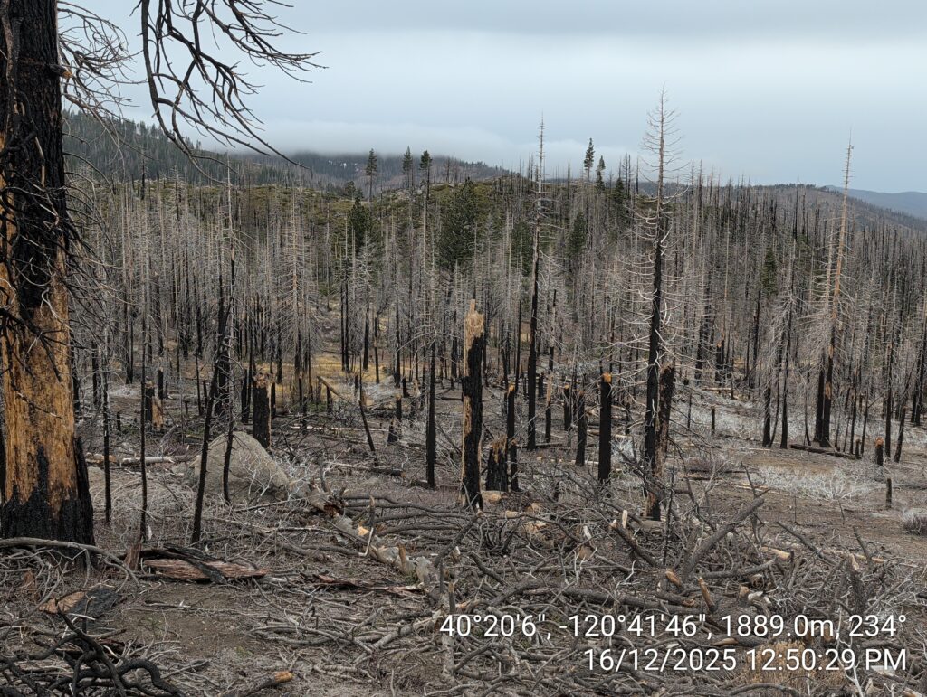 Illegal 70 + Acre Herbicide Application Photos and Evidence for the Lahontan Water Board 110 IMG 20251216 125029
