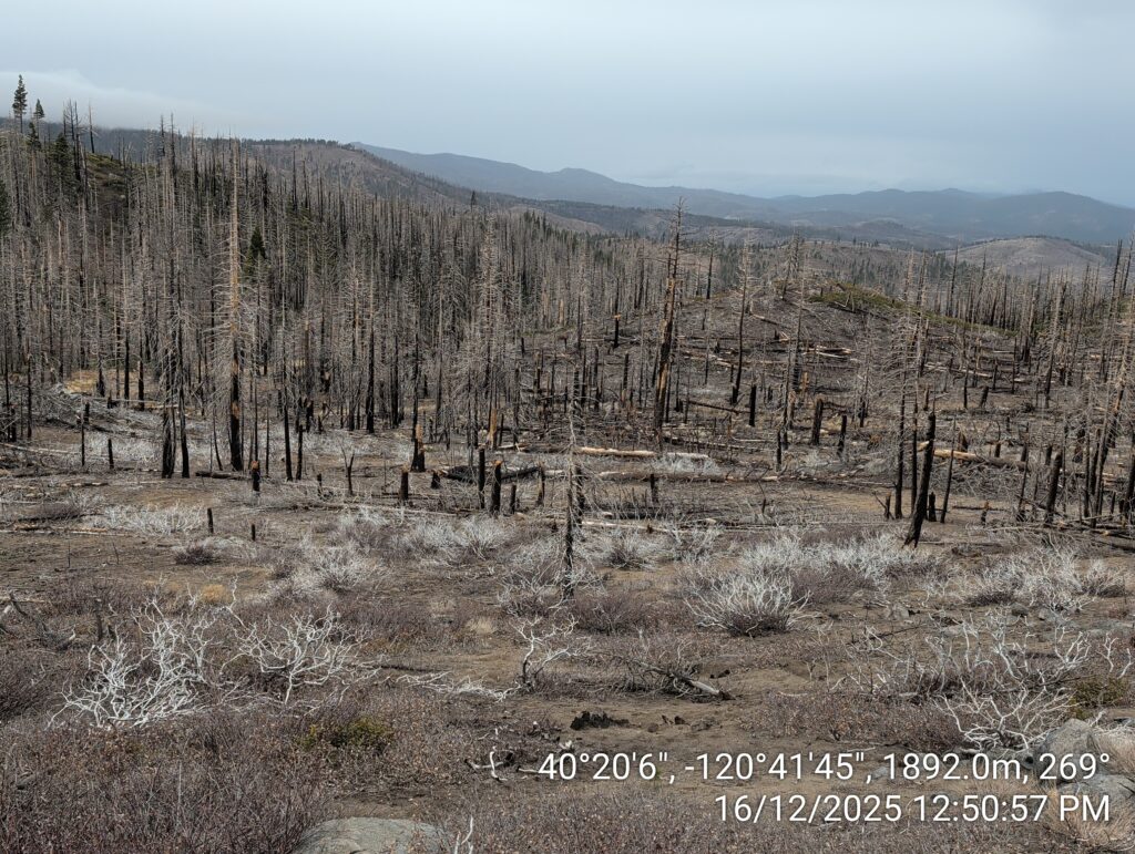 Illegal 70 + Acre Herbicide Application Photos and Evidence for the Lahontan Water Board 112 IMG 20251216 125057