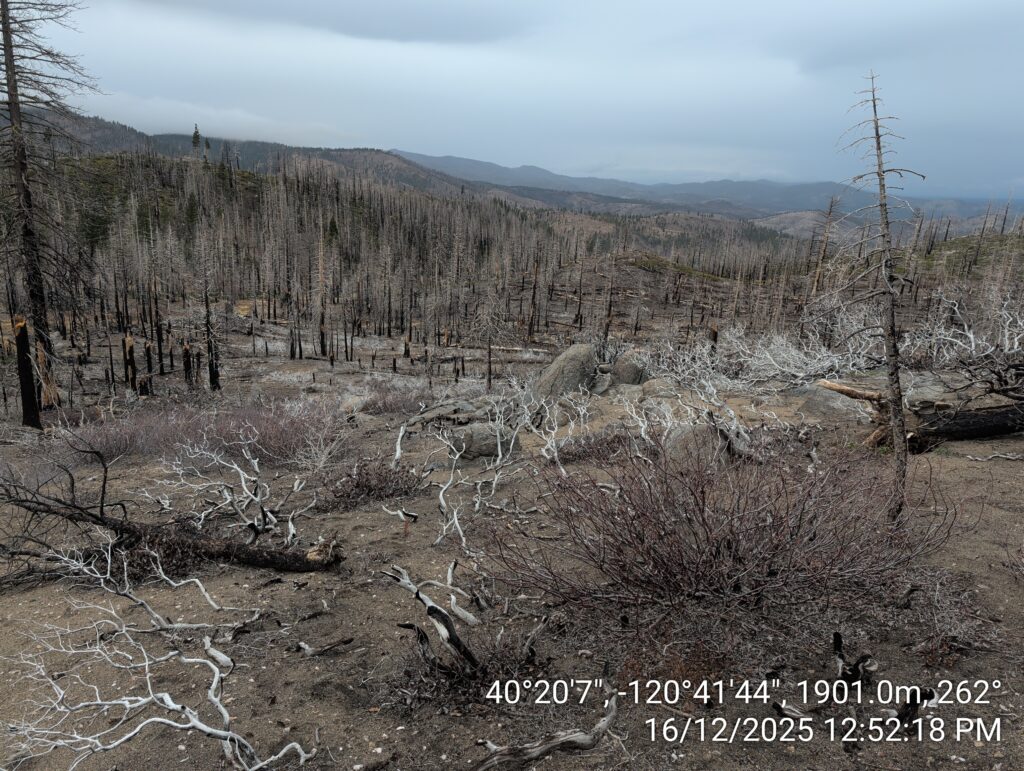 Illegal 70 + Acre Herbicide Application Photos and Evidence for the Lahontan Water Board 114 IMG 20251216 125218