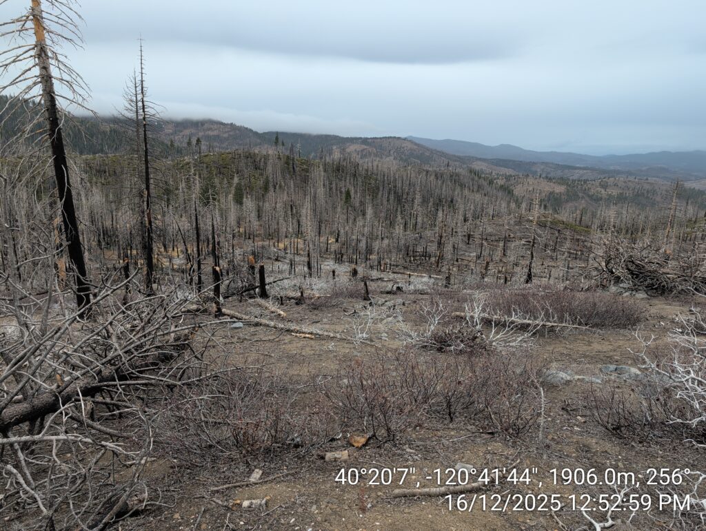 Illegal 70 + Acre Herbicide Application Photos and Evidence for the Lahontan Water Board 115 IMG 20251216 125259