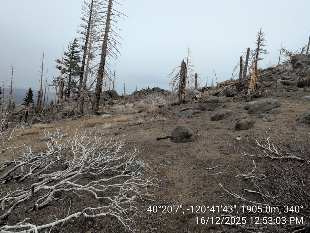 Illegal 70 + Acre Herbicide Application Photos and Evidence for the Lahontan Water Board 116 IMG 20251216 125303