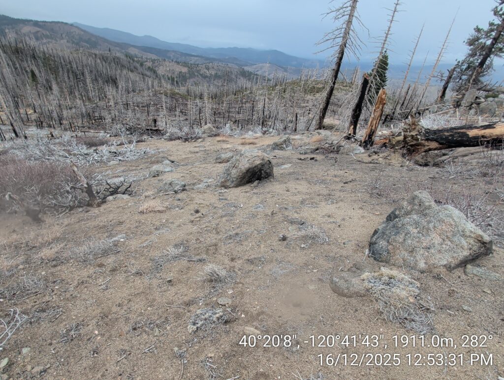 Illegal 70 + Acre Herbicide Application Photos and Evidence for the Lahontan Water Board 117 IMG 20251216 125331