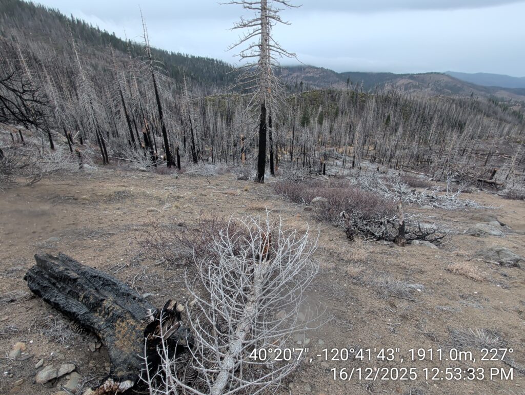 Illegal 70 + Acre Herbicide Application Photos and Evidence for the Lahontan Water Board 118 IMG 20251216 125333