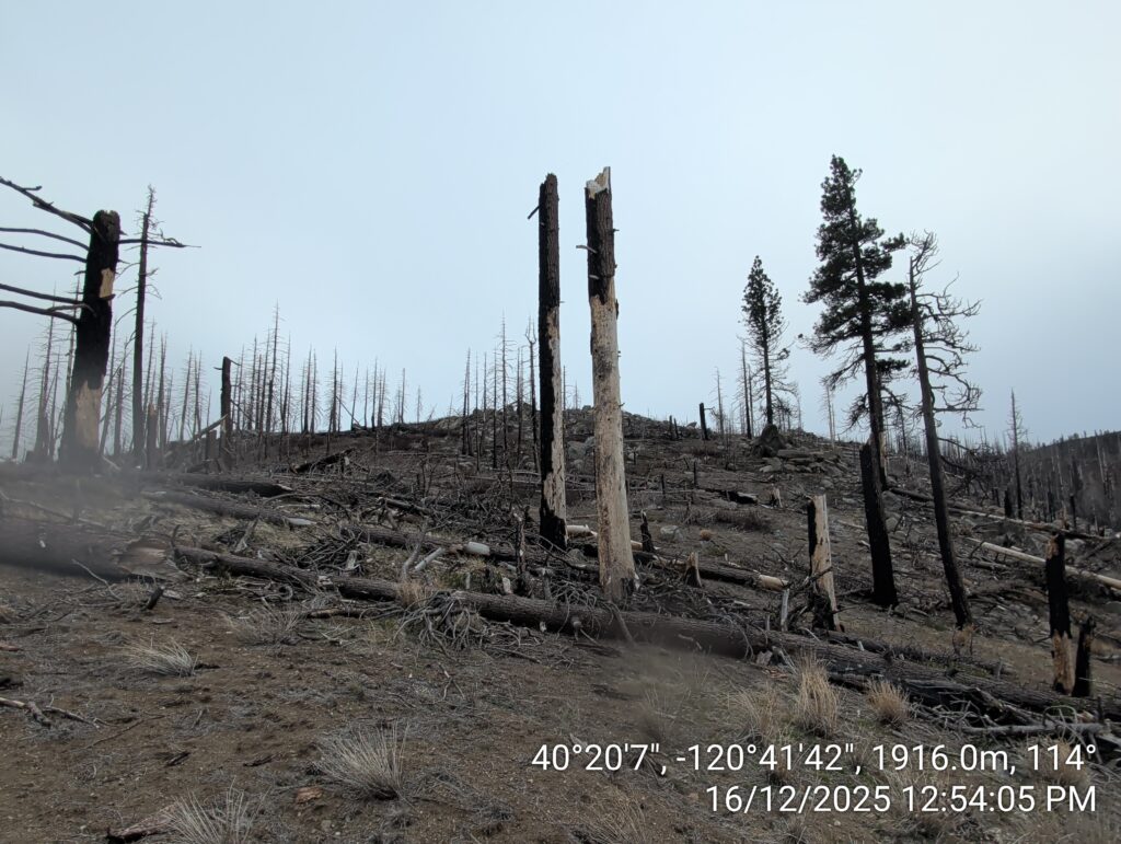 Illegal 70 + Acre Herbicide Application Photos and Evidence for the Lahontan Water Board 119 IMG 20251216 125405