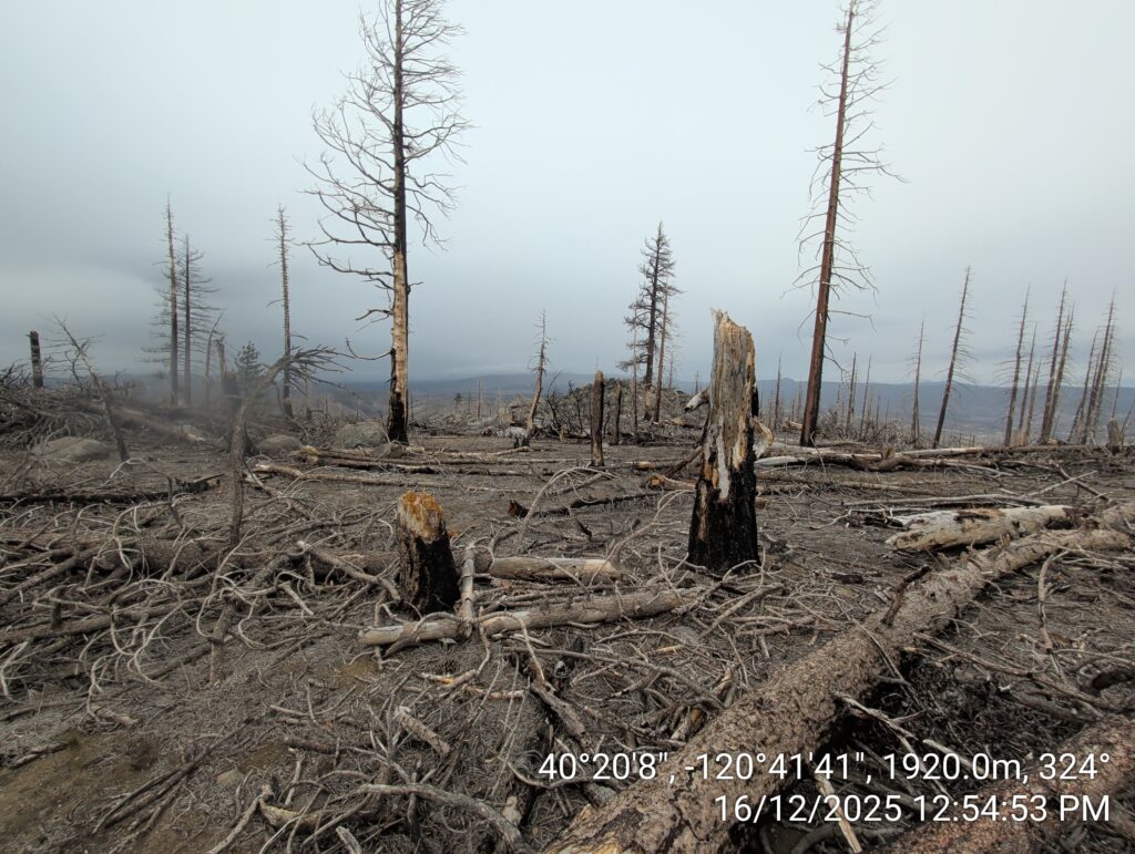 Illegal 70 + Acre Herbicide Application Photos and Evidence for the Lahontan Water Board 121 IMG 20251216 125453