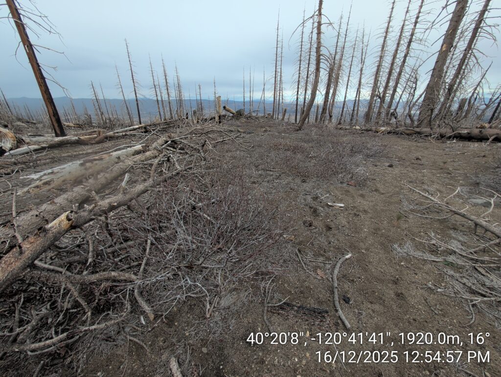Illegal 70 + Acre Herbicide Application Photos and Evidence for the Lahontan Water Board 122 IMG 20251216 125457