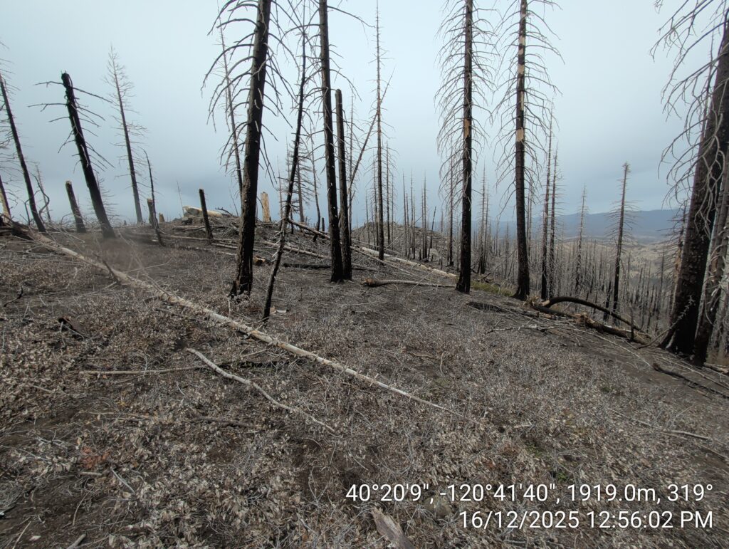Illegal 70 + Acre Herbicide Application Photos and Evidence for the Lahontan Water Board 124 IMG 20251216 125602