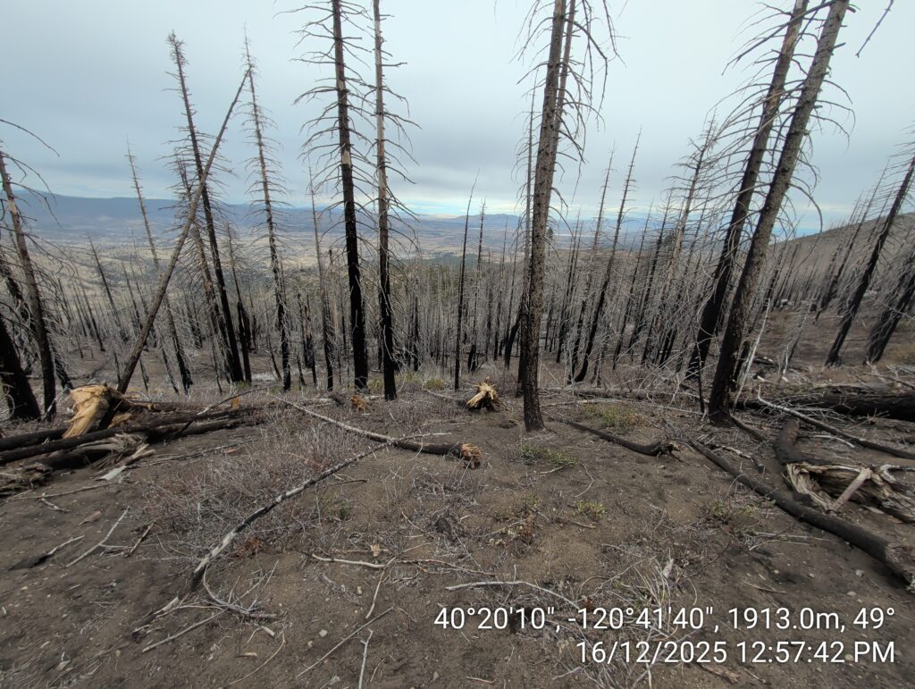 Illegal 70 + Acre Herbicide Application Photos and Evidence for the Lahontan Water Board 128 IMG 20251216 125742