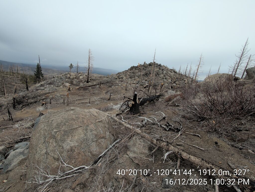 Illegal 70 + Acre Herbicide Application Photos and Evidence for the Lahontan Water Board 130 IMG 20251216 130032