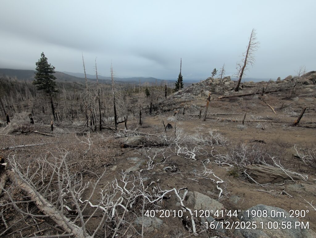 Illegal 70 + Acre Herbicide Application Photos and Evidence for the Lahontan Water Board 131 IMG 20251216 130058