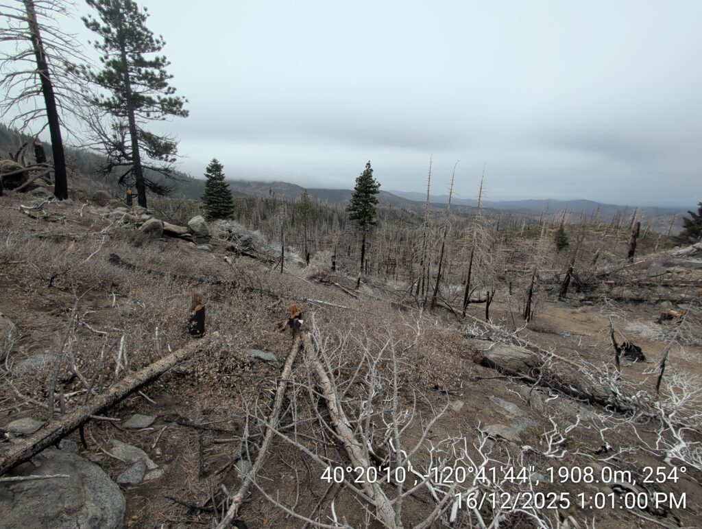 Illegal 70 + Acre Herbicide Application Photos and Evidence for the Lahontan Water Board 132 IMG 20251216 130100