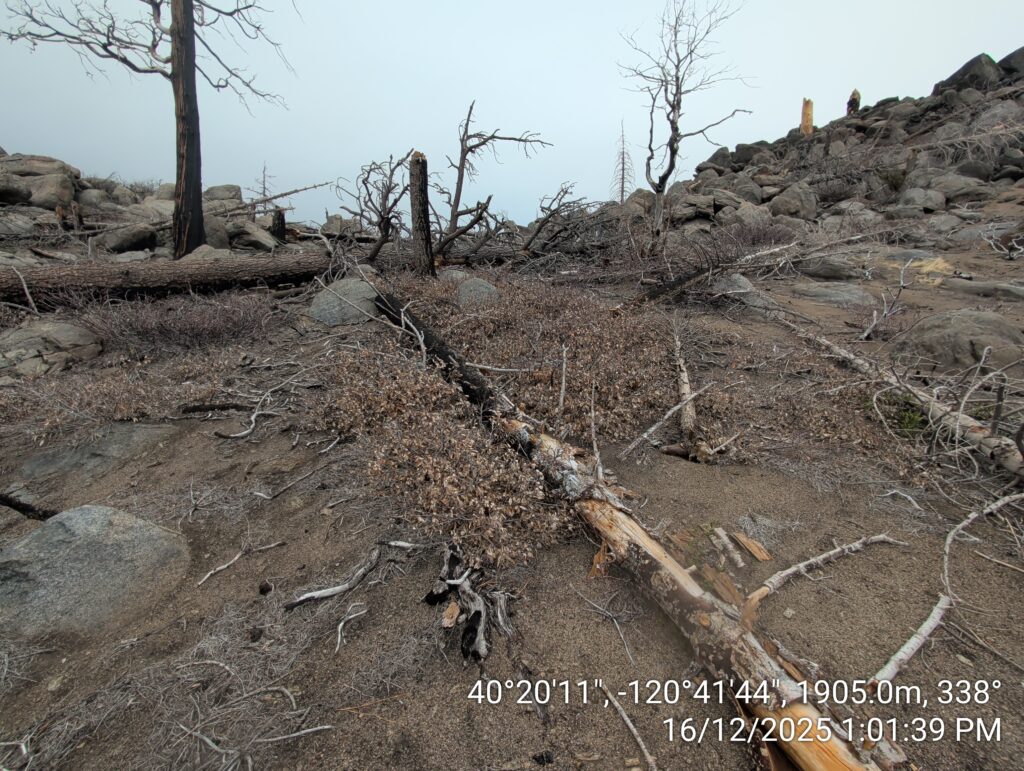 Illegal 70 + Acre Herbicide Application Photos and Evidence for the Lahontan Water Board 133 IMG 20251216 130139
