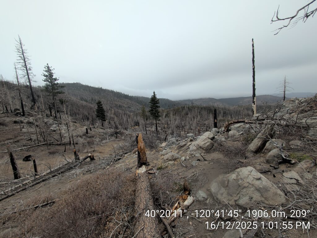 Illegal 70 + Acre Herbicide Application Photos and Evidence for the Lahontan Water Board 134 IMG 20251216 130155