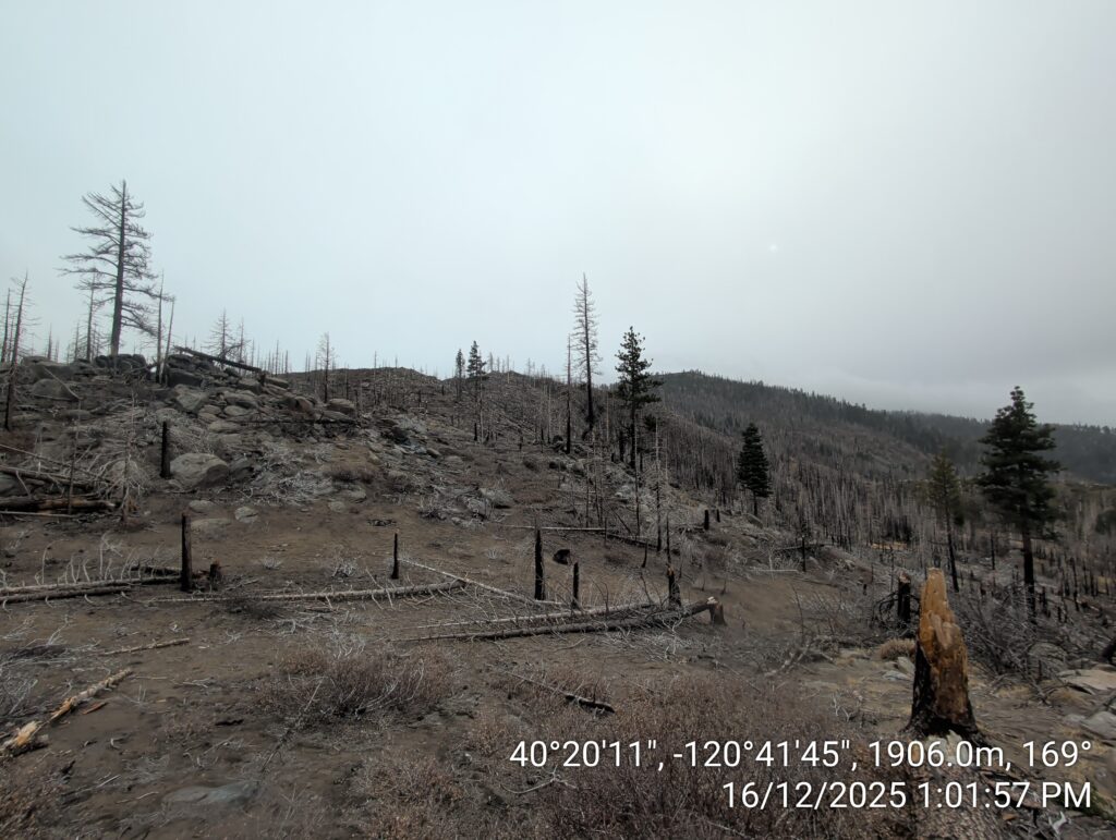 Illegal 70 + Acre Herbicide Application Photos and Evidence for the Lahontan Water Board 135 IMG 20251216 130157