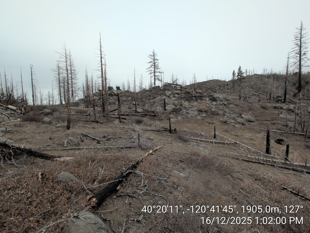 Illegal 70 + Acre Herbicide Application Photos and Evidence for the Lahontan Water Board 136 IMG 20251216 130200