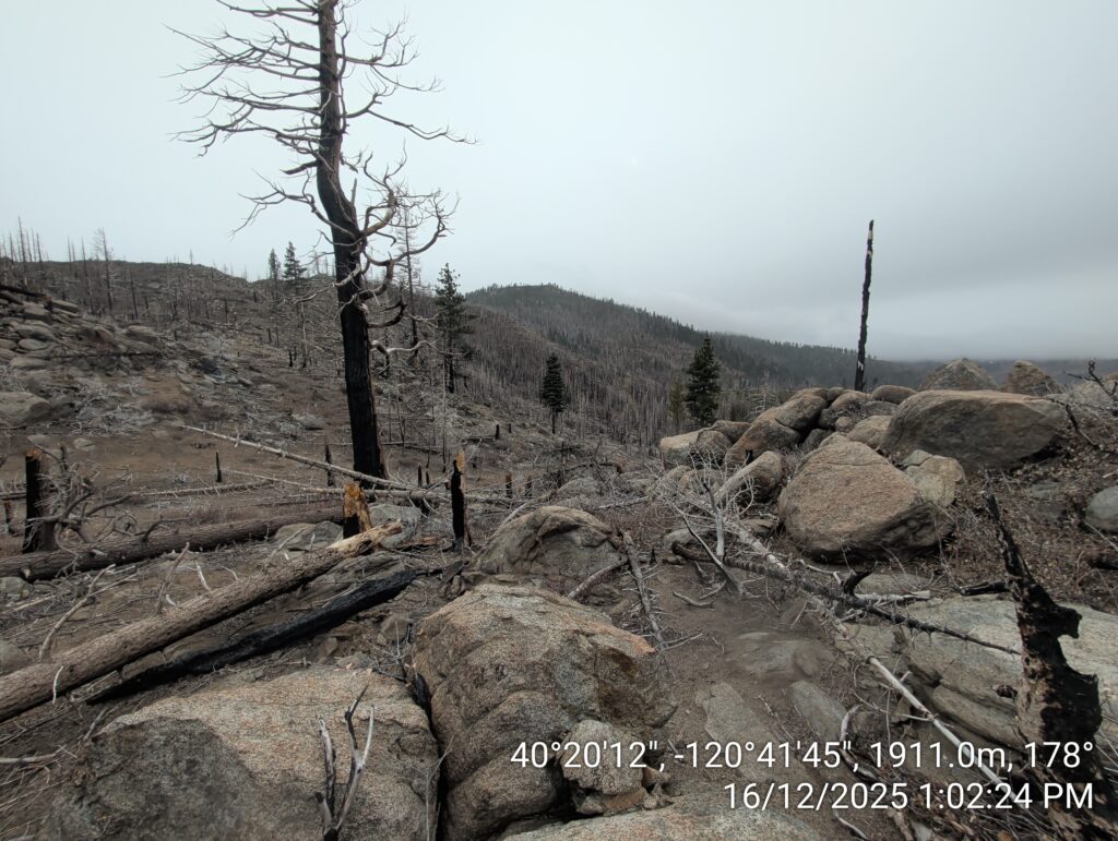Illegal 70 + Acre Herbicide Application Photos and Evidence for the Lahontan Water Board 137 IMG 20251216 130224