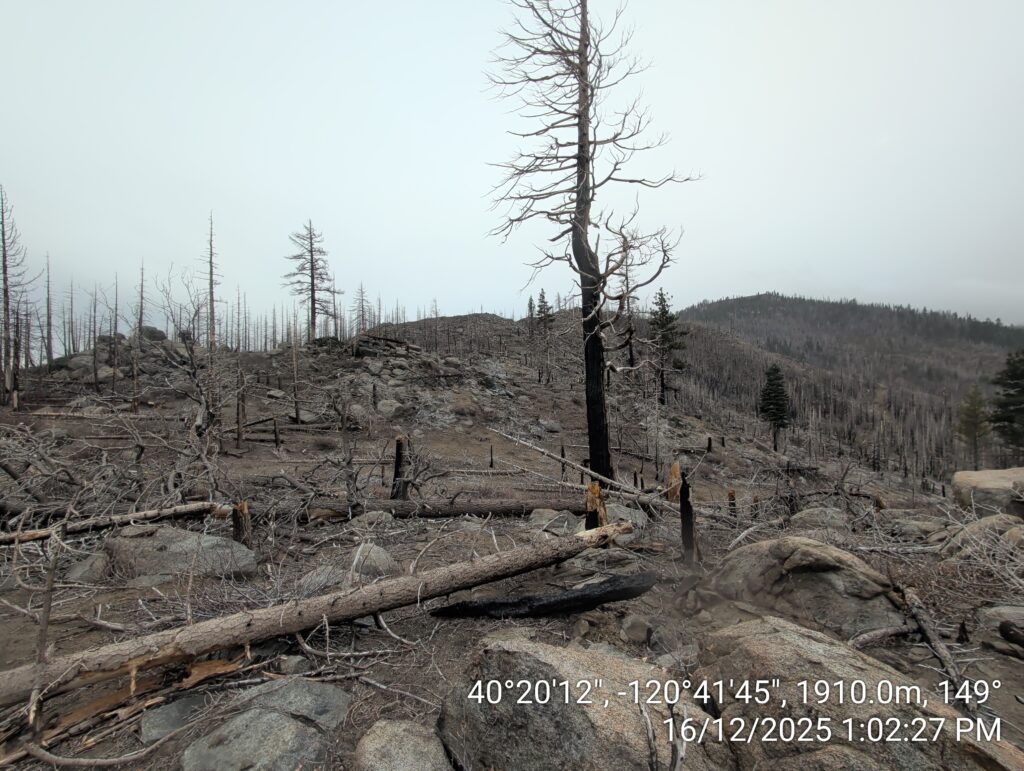 Illegal 70 + Acre Herbicide Application Photos and Evidence for the Lahontan Water Board 138 IMG 20251216 130227