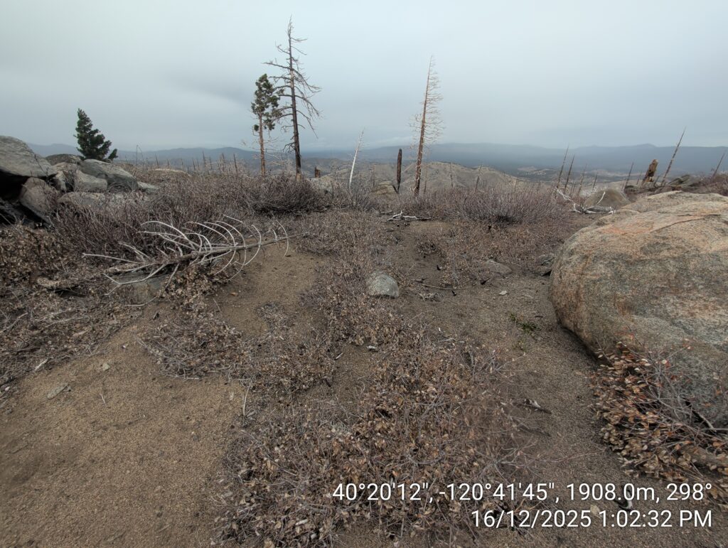 Illegal 70 + Acre Herbicide Application Photos and Evidence for the Lahontan Water Board 139 IMG 20251216 130232