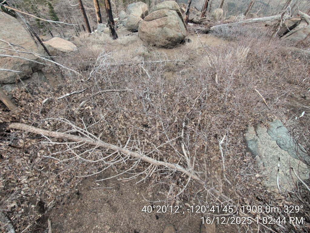 Illegal 70 + Acre Herbicide Application Photos and Evidence for the Lahontan Water Board 140 IMG 20251216 130244