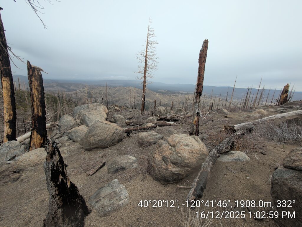 Illegal 70 + Acre Herbicide Application Photos and Evidence for the Lahontan Water Board 141 IMG 20251216 130259
