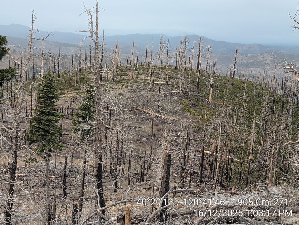 Illegal 70 + Acre Herbicide Application Photos and Evidence for the Lahontan Water Board 142 IMG 20251216 130317