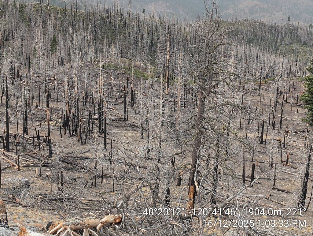 Illegal 70 + Acre Herbicide Application Photos and Evidence for the Lahontan Water Board 144 IMG 20251216 130333