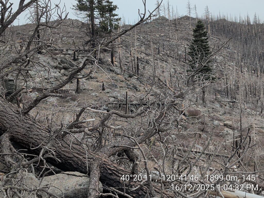 Illegal 70 + Acre Herbicide Application Photos and Evidence for the Lahontan Water Board 146 IMG 20251216 130432 copy