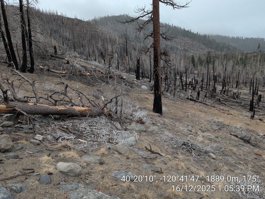 Illegal 70 + Acre Herbicide Application Photos and Evidence for the Lahontan Water Board 148 IMG 20251216 130539