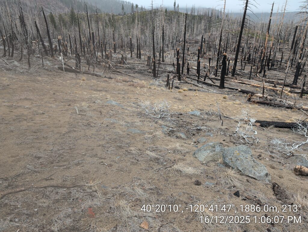 Illegal 70 + Acre Herbicide Application Photos and Evidence for the Lahontan Water Board 150 IMG 20251216 130607
