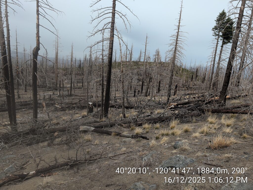 Illegal 70 + Acre Herbicide Application Photos and Evidence for the Lahontan Water Board 151 IMG 20251216 130612