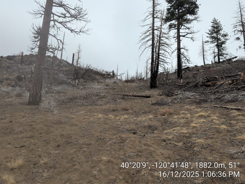 Illegal 70 + Acre Herbicide Application Photos and Evidence for the Lahontan Water Board 153 IMG 20251216 130636