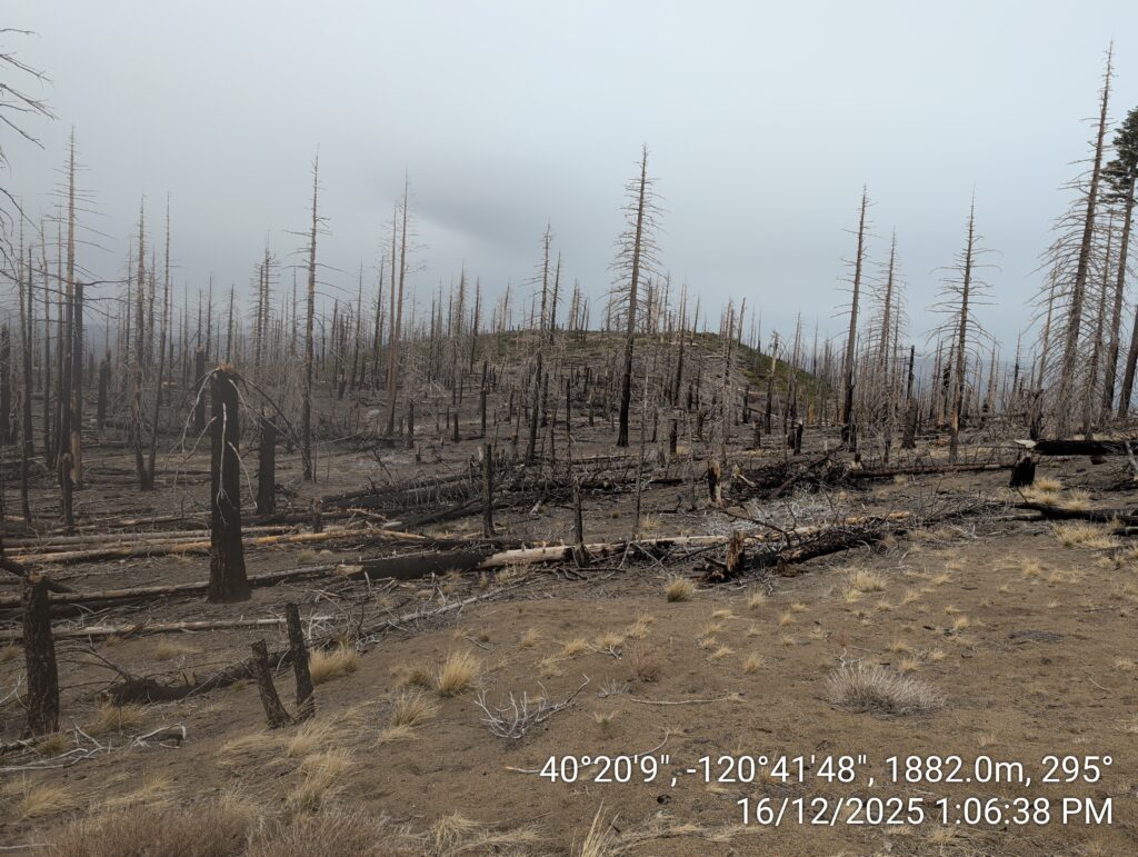 Illegal 70 + Acre Herbicide Application Photos and Evidence for the Lahontan Water Board 154 IMG 20251216 130638