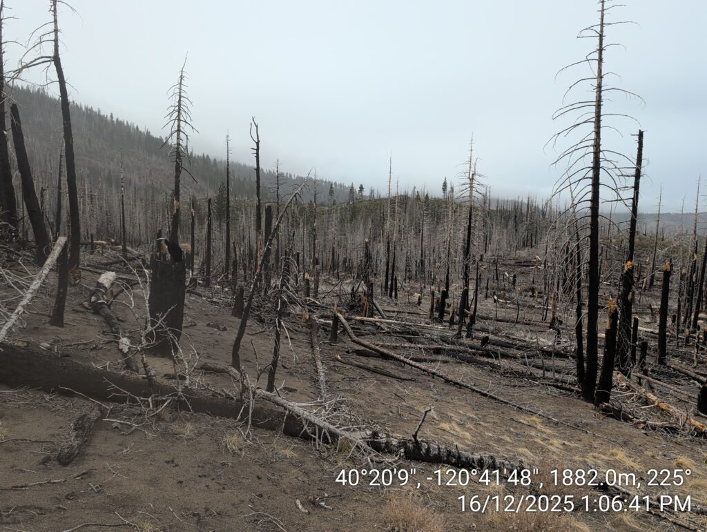 Illegal 70 + Acre Herbicide Application Photos and Evidence for the Lahontan Water Board 155 IMG 20251216 130641