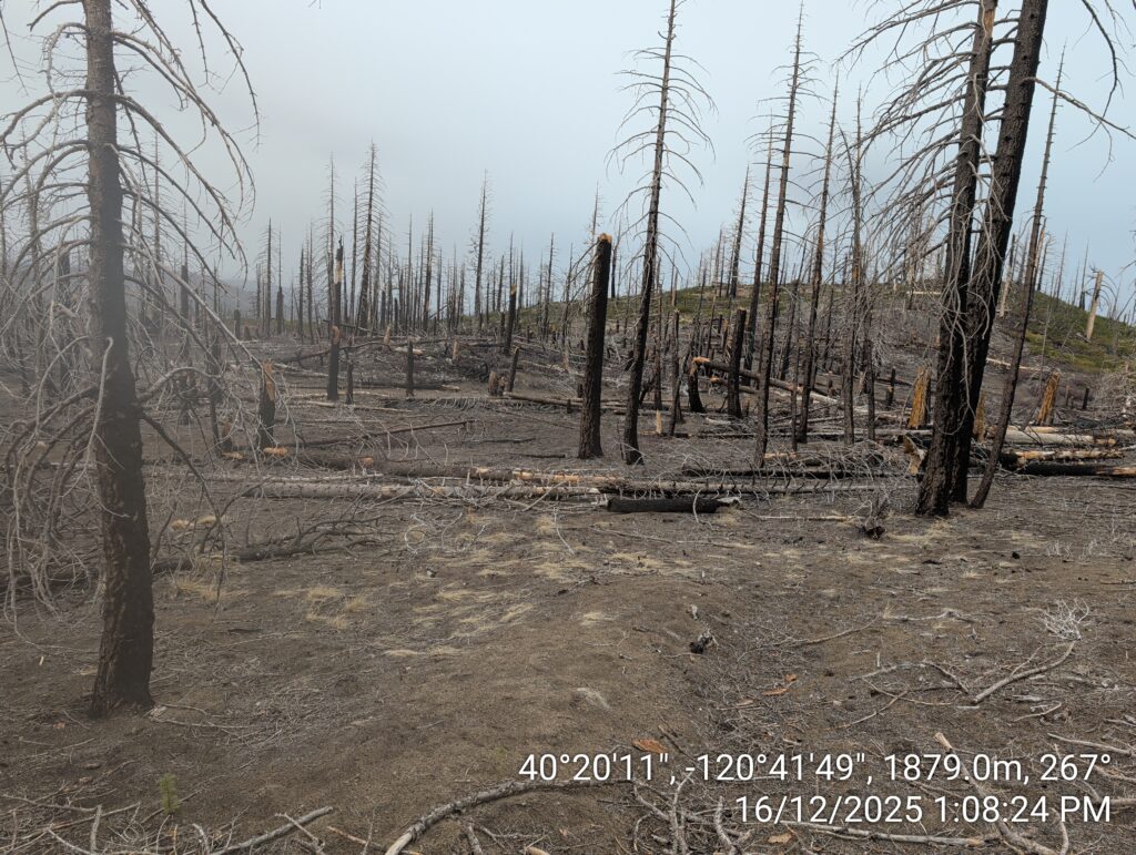 Illegal 70 + Acre Herbicide Application Photos and Evidence for the Lahontan Water Board 156 IMG 20251216 130824