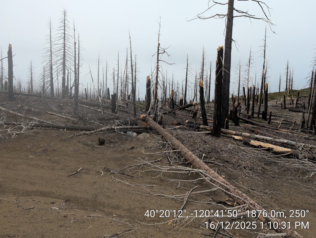 Illegal 70 + Acre Herbicide Application Photos and Evidence for the Lahontan Water Board 157 IMG 20251216 131031