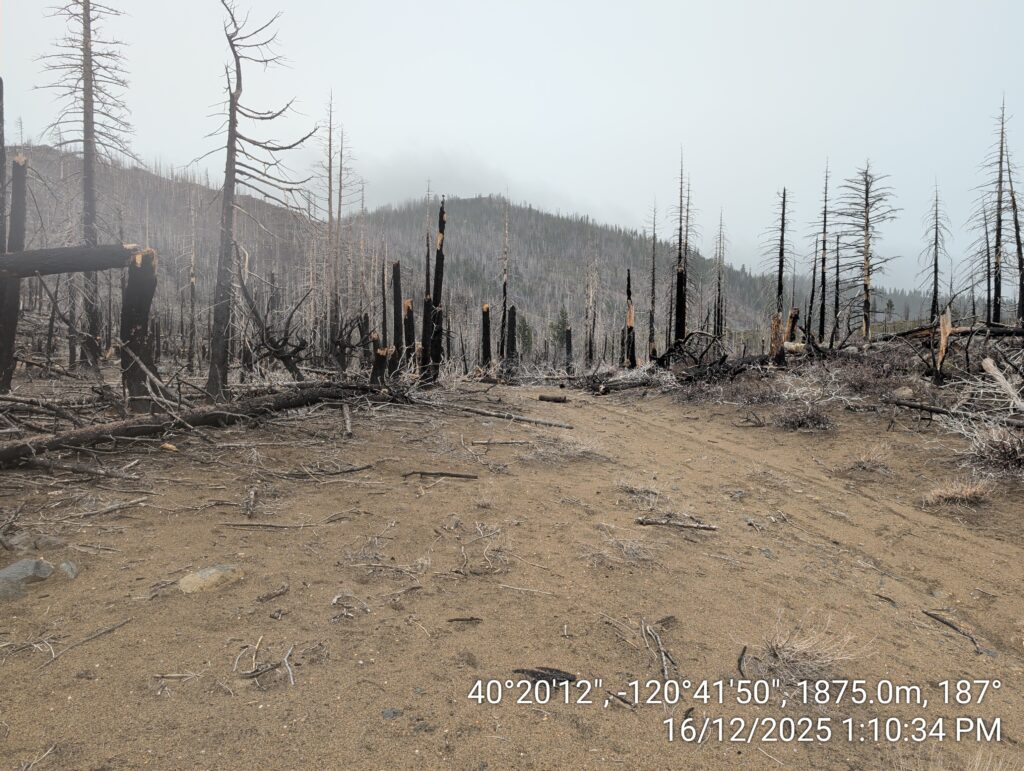 Illegal 70 + Acre Herbicide Application Photos and Evidence for the Lahontan Water Board 158 IMG 20251216 131034