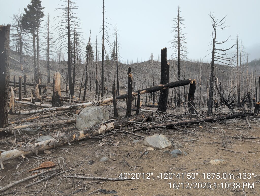 Illegal 70 + Acre Herbicide Application Photos and Evidence for the Lahontan Water Board 159 IMG 20251216 131038 copy