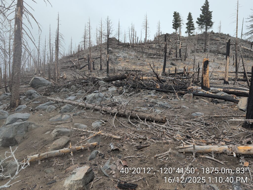 Illegal 70 + Acre Herbicide Application Photos and Evidence for the Lahontan Water Board 160 IMG 20251216 131040 1