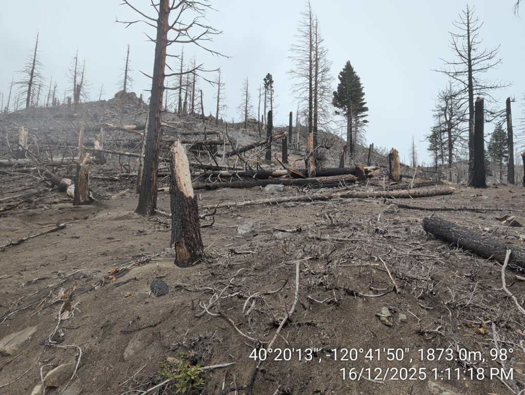 Illegal 70 + Acre Herbicide Application Photos and Evidence for the Lahontan Water Board 161 IMG 20251216 131118