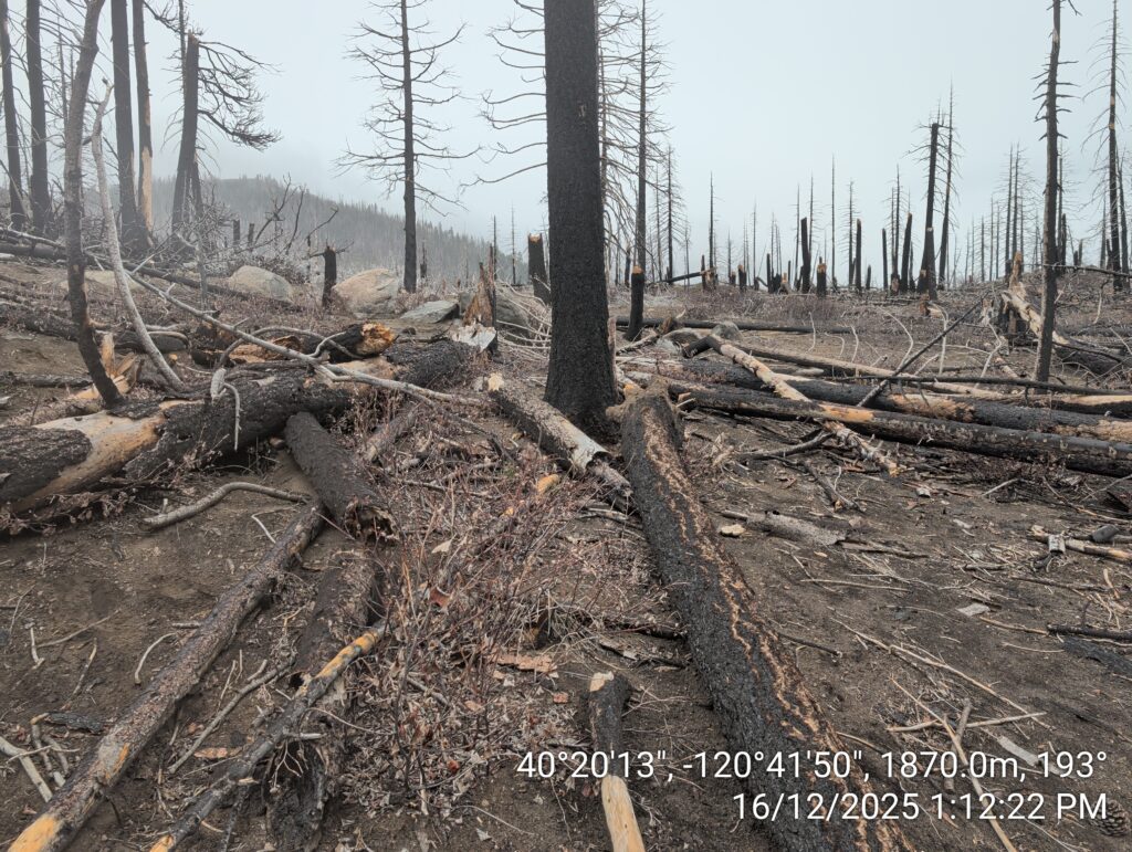 Illegal 70 + Acre Herbicide Application Photos and Evidence for the Lahontan Water Board 163 IMG 20251216 131222